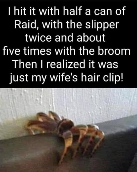 spider pet hair clip.jpg